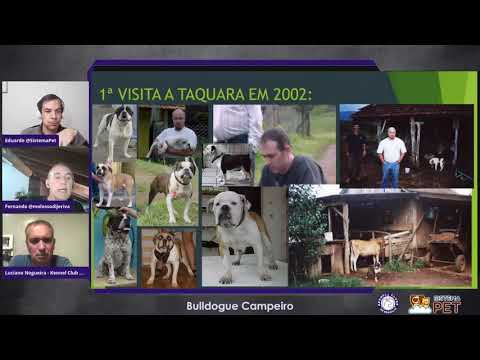 Vídeo 1