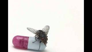 Red Hot Chili Peppers - Look Around