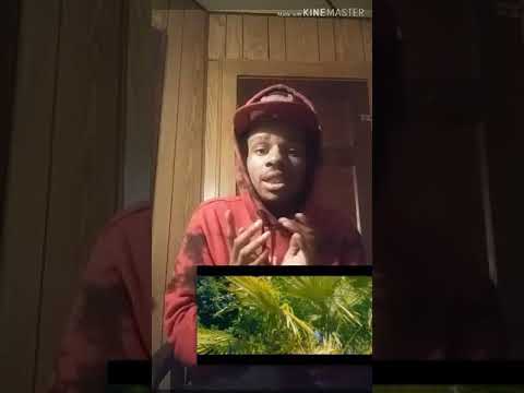 Niska - Réseaux (Clip Officiel) AMERICAN FIRST REACTION TO FRENCH RAP