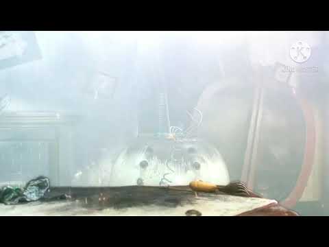 Wallace and gromit boom the autochef reversed