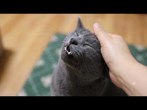 YouTube 썸네일