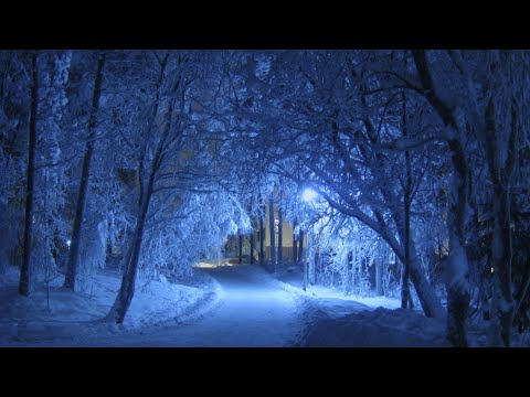 A Kind of Hope - Scott Buckley | No Copyright Meditation