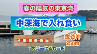 2026.2.5東京湾の中深海でスロージギング（クロムツ）