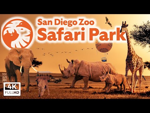 San Diego Zoo Safari Park: 10 dicas principais, passeio pelo parque e guia de animais