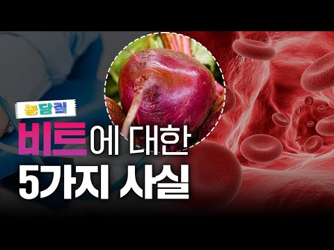 비트, 당신이 몰랐던 5가지 사실|농담짚