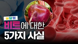 비트, 당신이 몰랐던 5가지 사실|농담짚
