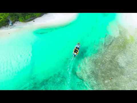 Fiji beach view #short #viral #dance