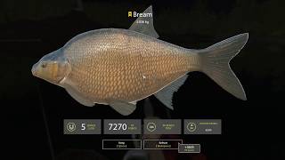 Russian Fishing 4 - Trophy Breem in Kuori lake