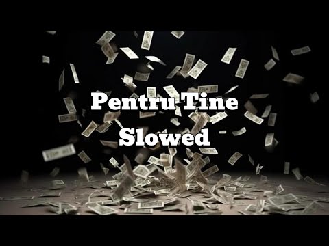 Alberto Guta x Lil Manzi - Pentru Tine (Slowed)