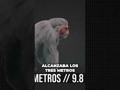 Descubre el gigante pitecus: ¡Una guarida misteriosa en los matorrales!#curiosidades #curioso