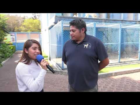 Entrevista de Mi Dog U a Efrén González, entrenador de perros guía para ciegos