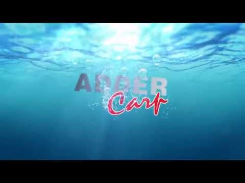 Szybki przepis na Methodę z VBG Adder Carp