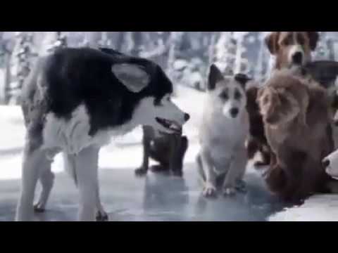 A diferença entre um chefe e um líder