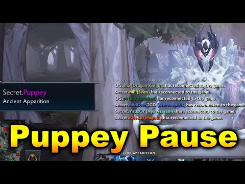 Puppey 10% Pause