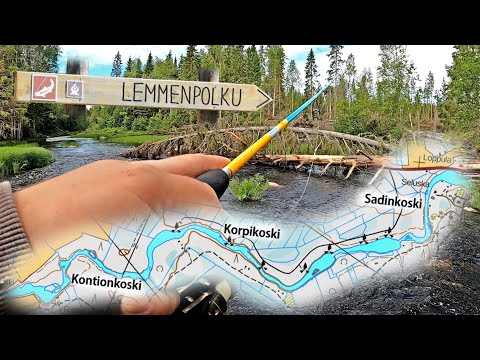 KALASSA SANGINJOEN LEMMENPOLULLA JA OULUJOELLA - VINKKEJÄ KOSKIKALASTUKSEEN - OULUN KALAPAIKAT