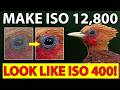 Make ISO 12 800 Look Like ISO 400 My 2026 Lightroom Workflow