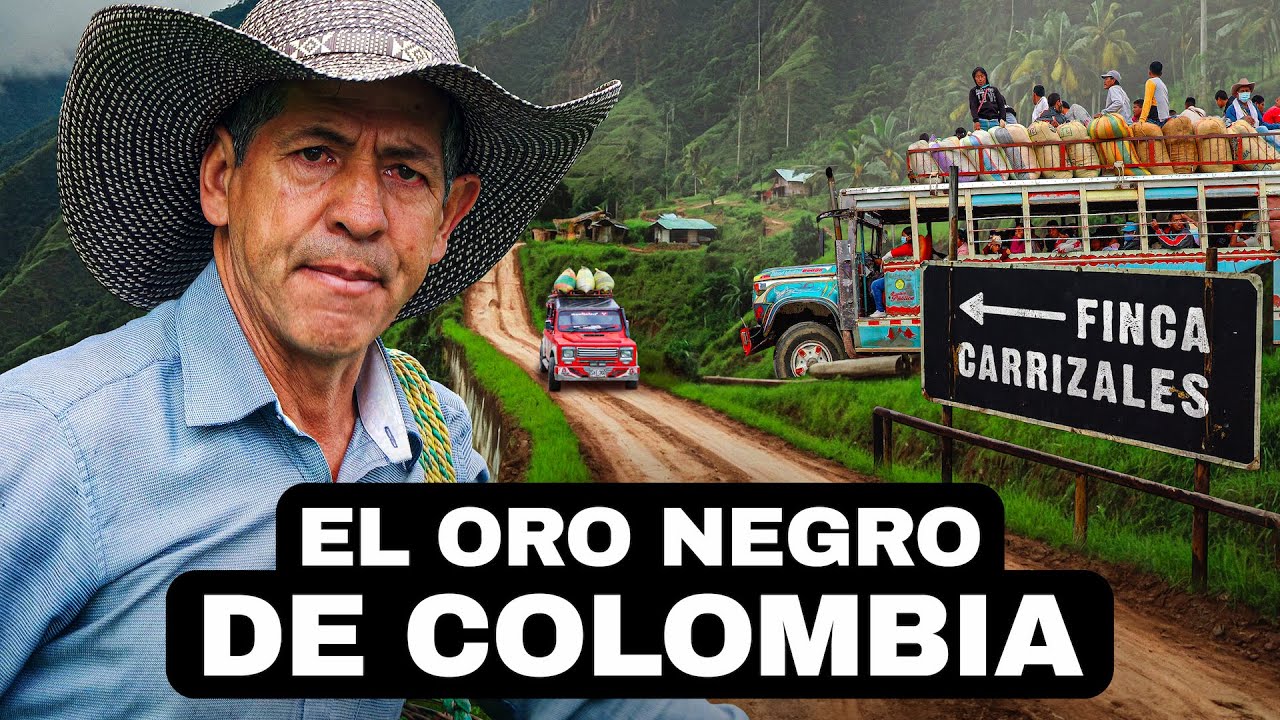El Oro Negro De Colombia | Documental De Café Colombiano (Versión en Español)