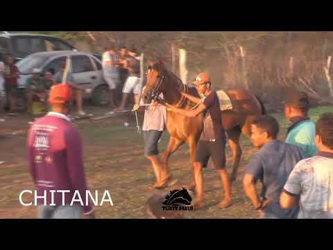 GITANA, vence o belo torneio no Rancho D'Assis de Zuza