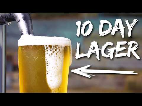 10 DAY LAGER - A Quick Beer Brewing Method for Lazy People
