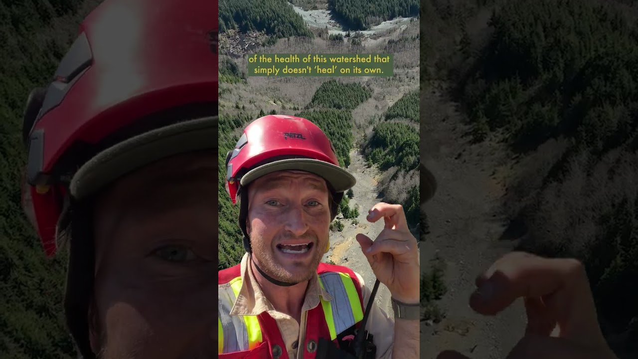 Logging Creates More Landslides - This is how we stabilize them to help restore these watersheds!