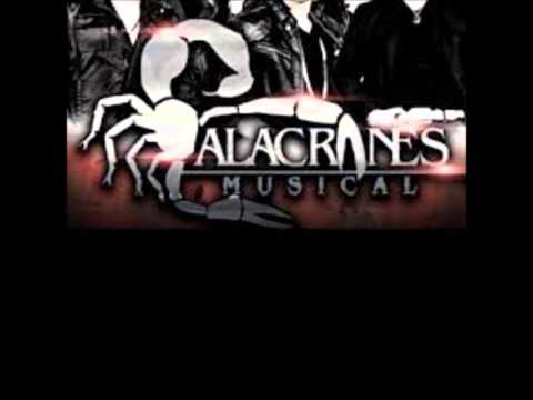Alacranes Musical/ Jose Ramon y maria