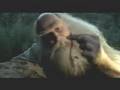 Noahs Ark Commercial