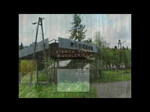 Tarnawa - "Powrót do źródełek"