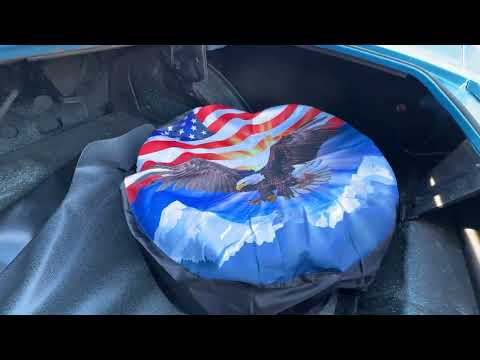 1969 Chevrolet Chevelle (CC-2121165) for sale in Penndel, Pennsylvania