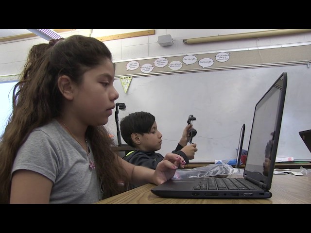 Video Pronunciation of vae in English Video Pronunciation of vae in English