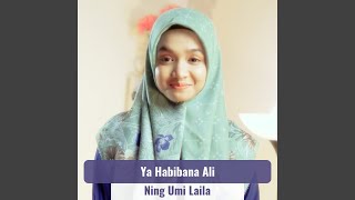 Download lagu Ya Habibana Ali mp3 Download lagu Ya Habibana Ali mp3