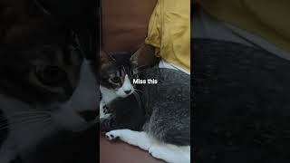 Download lagu Thomas o Molly and jen jen mp3 Download lagu Thomas o Molly and jen jen mp3