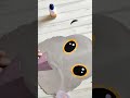 Pigeon face mask | कबूतर मास्क | #youtubeshorts #youtubepartner #shorts | Bird face mask | craft