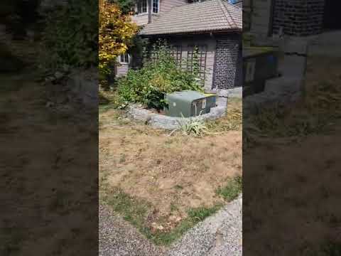 Heriberto Soria Rodriguez and landscaping and Maintenance