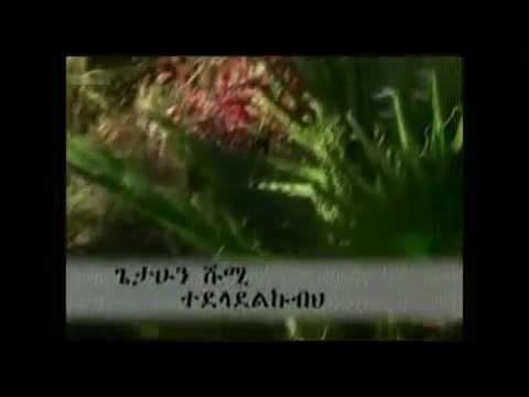 Zemari Getahun Shumi