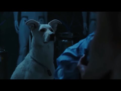 Titans - Krypto All Powers And Fight Scenes