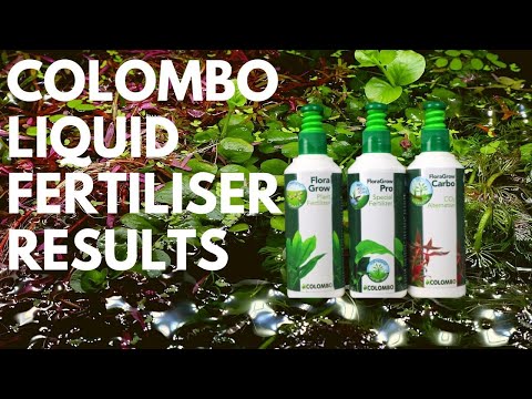 Testing and review of plant fertiliser by Colombo (2021)