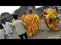 Angry Cow Bull Fighting