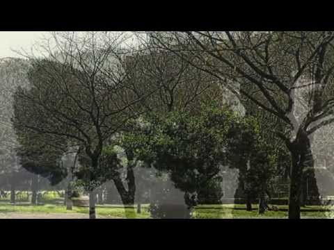 ma guarda un po' com'è strano...