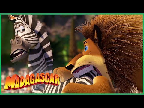 Capa de Madagascar | Alex confunde Marty com um pedaço de carne 🥩 Desenhos Animados em Português