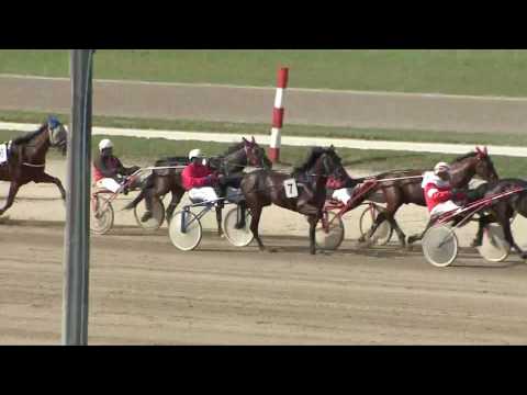 2017.05.06. 6. futam - JUBILÁNS HENDIKEP