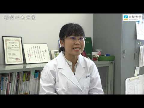 美術学科 崇城大学　工学部　ナノサイエンス学科　櫻木研究室