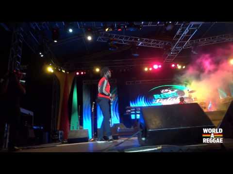 Chronixx Live @ Rebel Salute 2013 - Jamaica (Compilation)