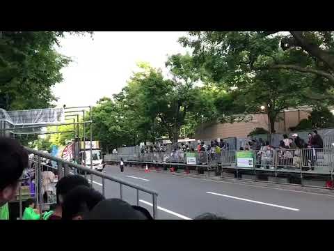 商学科 YOSAKOIソーラン祭り審査パレード 小樽商科大学"翔楽舞" 2019年「四獣奏」