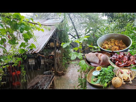 Morning Routine In Rainy day, Cooking Traditional Food | Village lifestyle