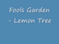 Fools Garden Lemon Tree Reverse