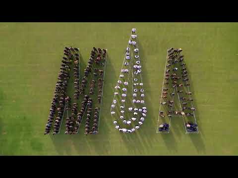 MGA Industries (PVT) Ltd.