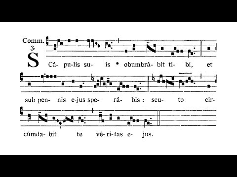 Dominica I in Quadragesima (First Sunday of Lent) - Communio (Scapulis suis)