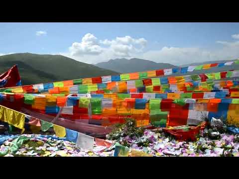Dharma Protector Festival from Larung Gar Buddhist Academy | #tibetanbuddhism