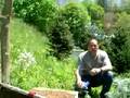 Faith Mountain Farm First Spring Swarm