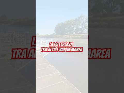 ALTA e BASSA MAREA: quali sono le differenze?  #shortvideo#marea